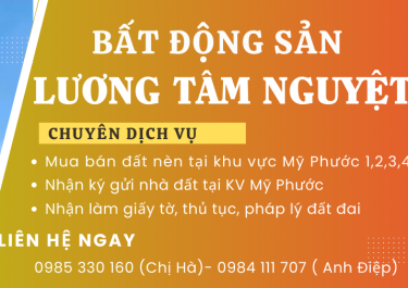 kinh-nghiem-lua-chon-don-vi-mua-dat-nen-tai-khu-vuc-my-phuoc-1234-ben-cat